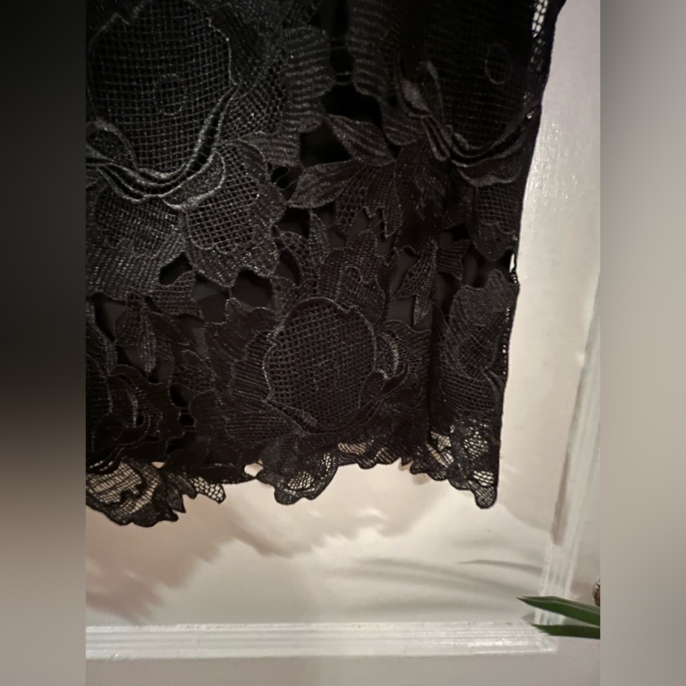 Ted Baker London Black Lace Midi Skirt - Picture 9 of 11